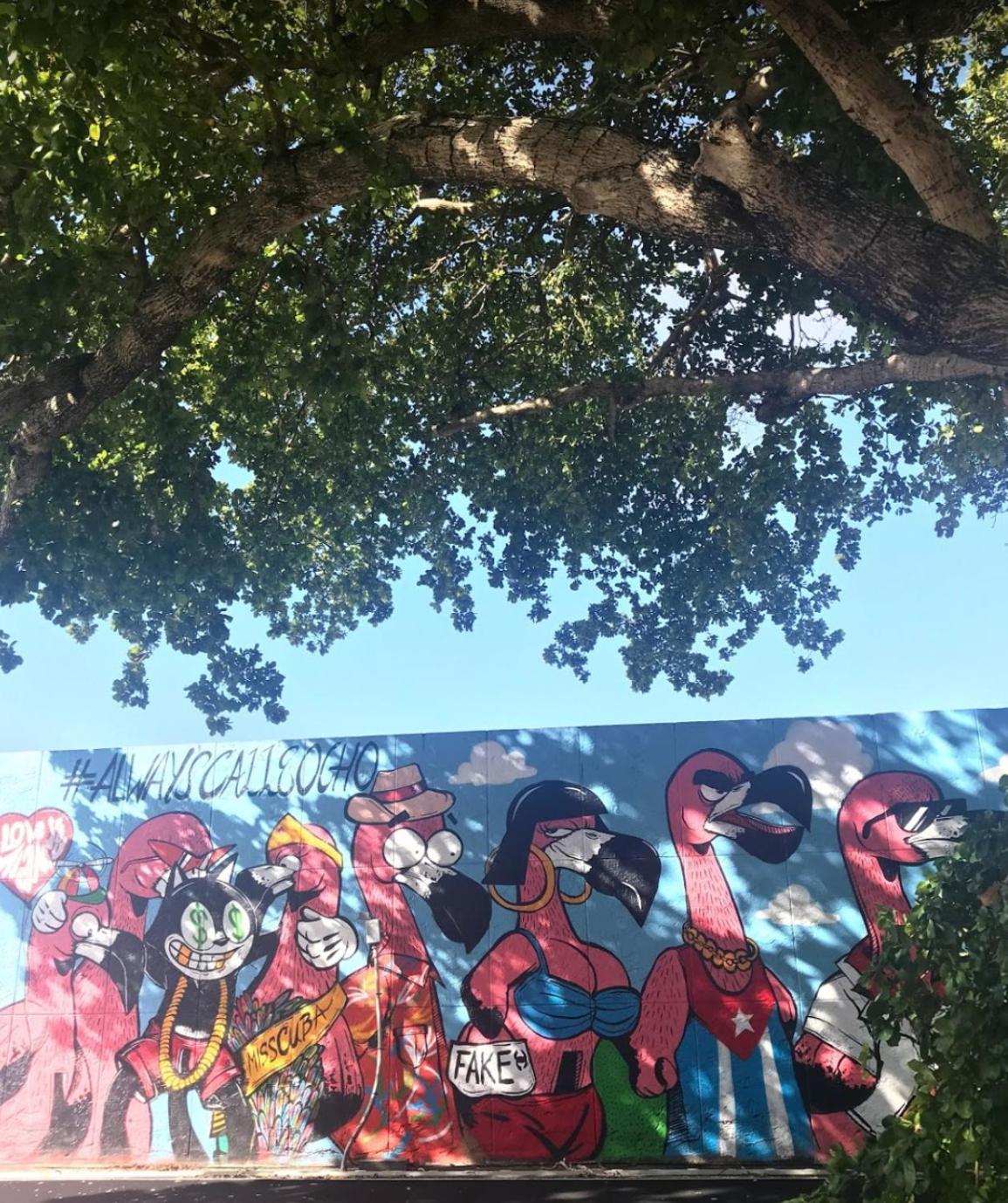 Séjour chez l'habitant B6 Value On Private Bedroom With Private Bathroom In Little Havana, *